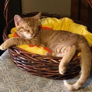 Meet your Posher, Rhonda